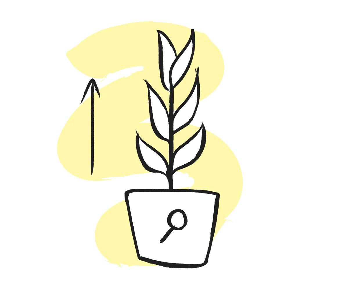 A thriving plant symbolizing the professional growth of employees freed from manual tasks.